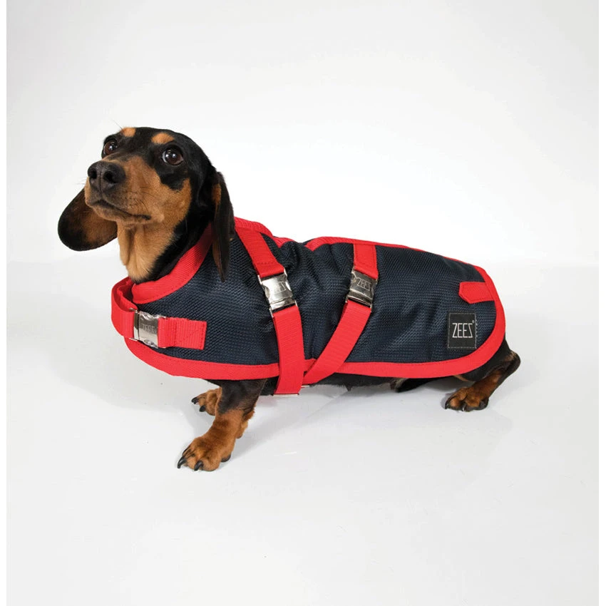 ZeeZ Supreme Dachshund Dog Coat - Navy Stone/Red 3 ZeeZ Supreme Dachshund Dog Coat - Navy Stone/Red - Image 3
