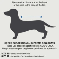 ZeeZ Supreme Dachshund Dog Coat - Mint Green/Grey -Vetn Pet Direct Store dachshund coat sizing 37cdbfbb d367 42b4 8369 34c7f96647fb