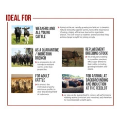 Zoetis Dectomax V Injectable Parasiticide 500mL -Vetn Pet Direct Store dectomax V 3