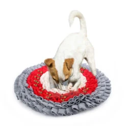 All For Paws Dig It! Fluffy Play & Treat Mat - Round