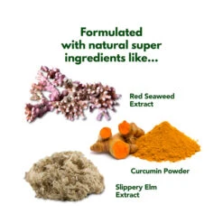 Hygain DIGEST & PROTECT Complete Digestive Support 5 Hygain DIGEST & PROTECT Complete Digestive Support -Vetn Pet Direct Store digest and protect ingredients