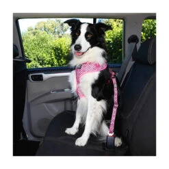 DOOG Car Restraint 14 DOOG Car Restraint -Vetn Pet Direct Store doog car restraint 3