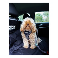 DOOG Car Restraint 16 DOOG Car Restraint -Vetn Pet Direct Store doog car restraint 5