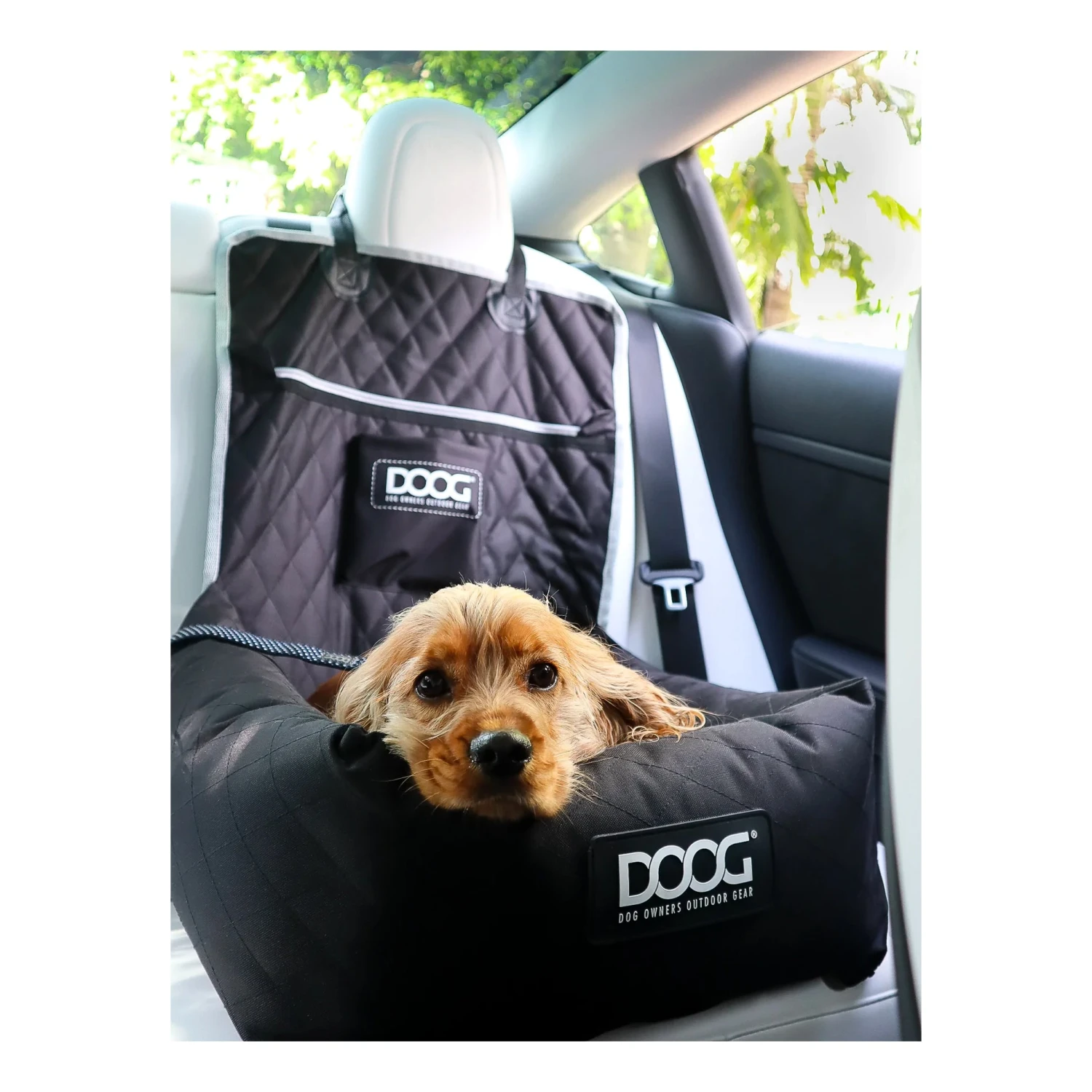 DOOG Car Seat For Small To Medium Breeds 3 DOOG Car Seat For Small To Medium Breeds - Image 3