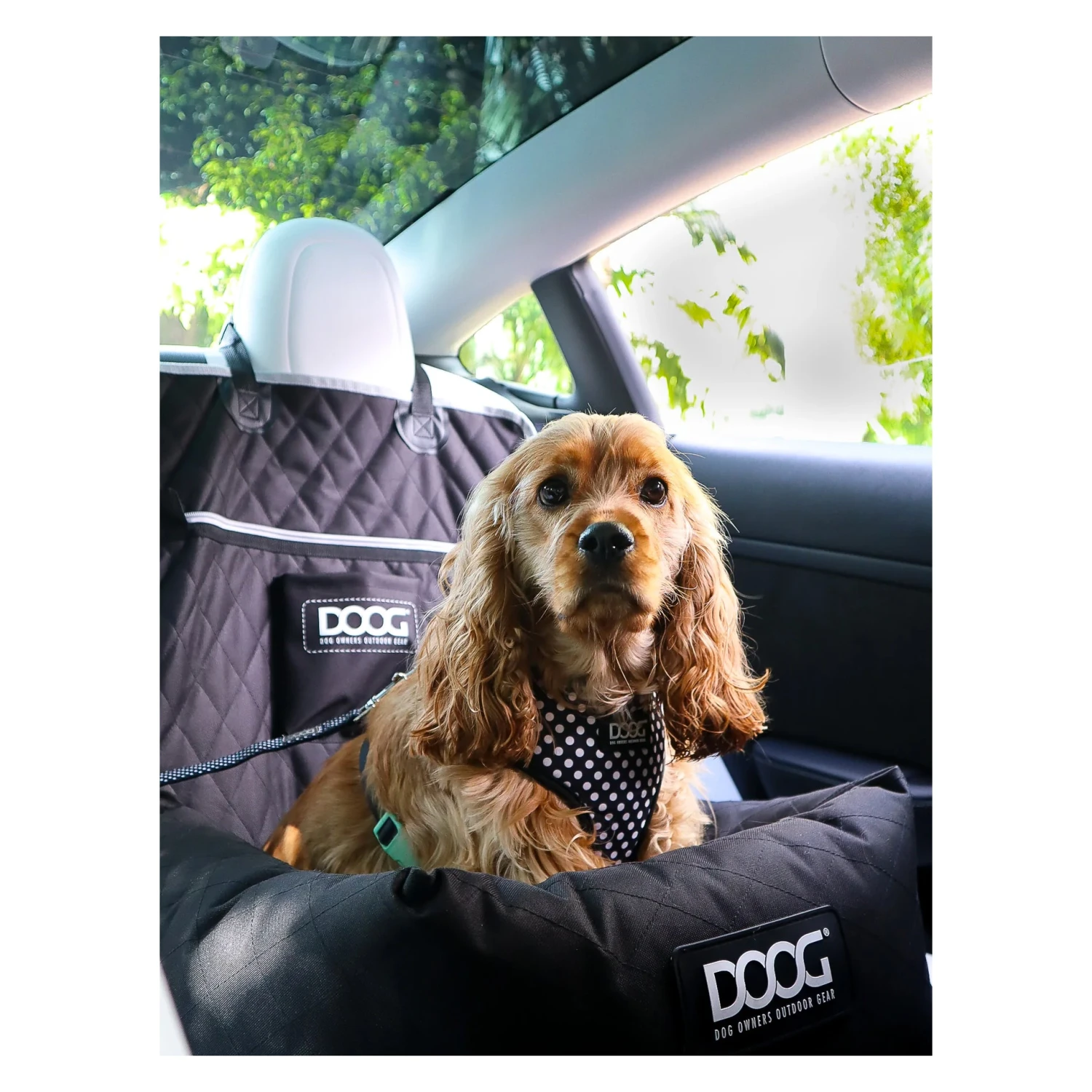 DOOG Car Seat For Small To Medium Breeds 8 DOOG Car Seat For Small To Medium Breeds - Image 8