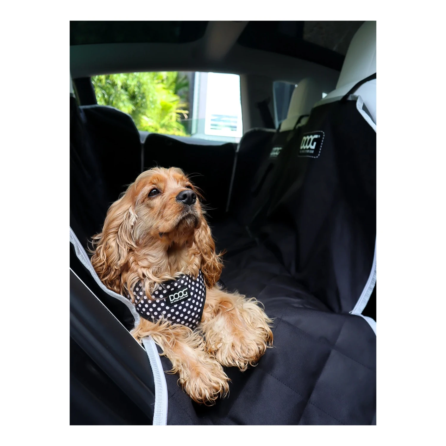 DOOG Car Seat Cover - Black 9 DOOG Car Seat Cover - Black - Image 9