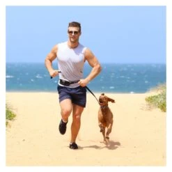 DOOG Mini Belt For Running & Walking 19 DOOG Mini Belt For Running & Walking -Vetn Pet Direct Store doog mini belt 5