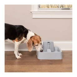 PetSafe Drinkwell 3.7L Pet Water Fountain -Vetn Pet Direct Store drinkwell 3.7L fountain 3