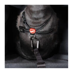 EzyDog Drive Car Booster Seat 10 EzyDog Drive Car Booster Seat -Vetn Pet Direct Store drive booster seat 2