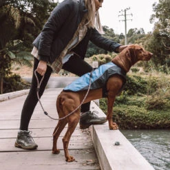 EzyDog Element Jacket 17 EzyDog Element Jacket -Vetn Pet Direct Store element1