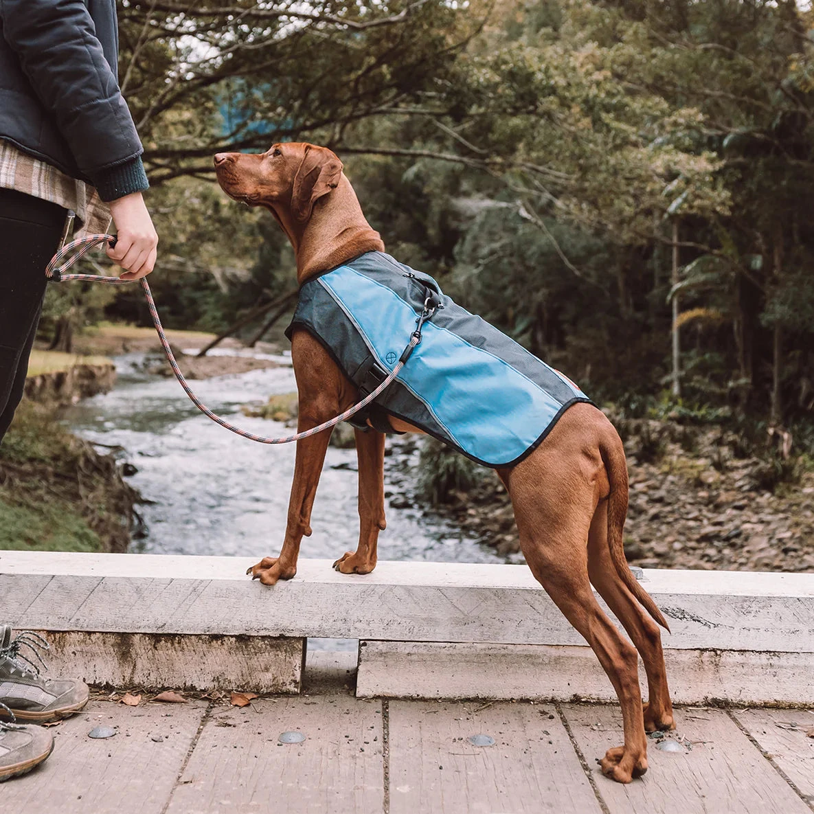 EzyDog Element Jacket 8 EzyDog Element Jacket - Image 8