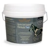 Equine Joint Support Formula Two