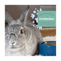 Oxbow Essentials Young Rabbit Food 2.25kg -Vetn Pet Direct Store essential adult rabbit animal 67117fc4 17a4 4ea7 bffa e3ceb9226ca2