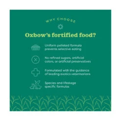 Oxbow Essentials Young Guinea Pig Food 2.25kg 6 Oxbow Essentials Young Guinea Pig Food 2.25kg -Vetn Pet Direct Store essentials A guinea pig benefits 90c696cd d1f4 474e 9608 0000a8177570