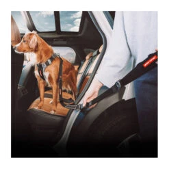 EzyDog Drive Click Leash 52cm -Vetn Pet Direct Store ezd click leash 4