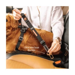 EzyDog Click Dog Seat Belt - Zero Shock 8 EzyDog Click Dog Seat Belt - Zero Shock -Vetn Pet Direct Store ezd zero shock seat belt 3