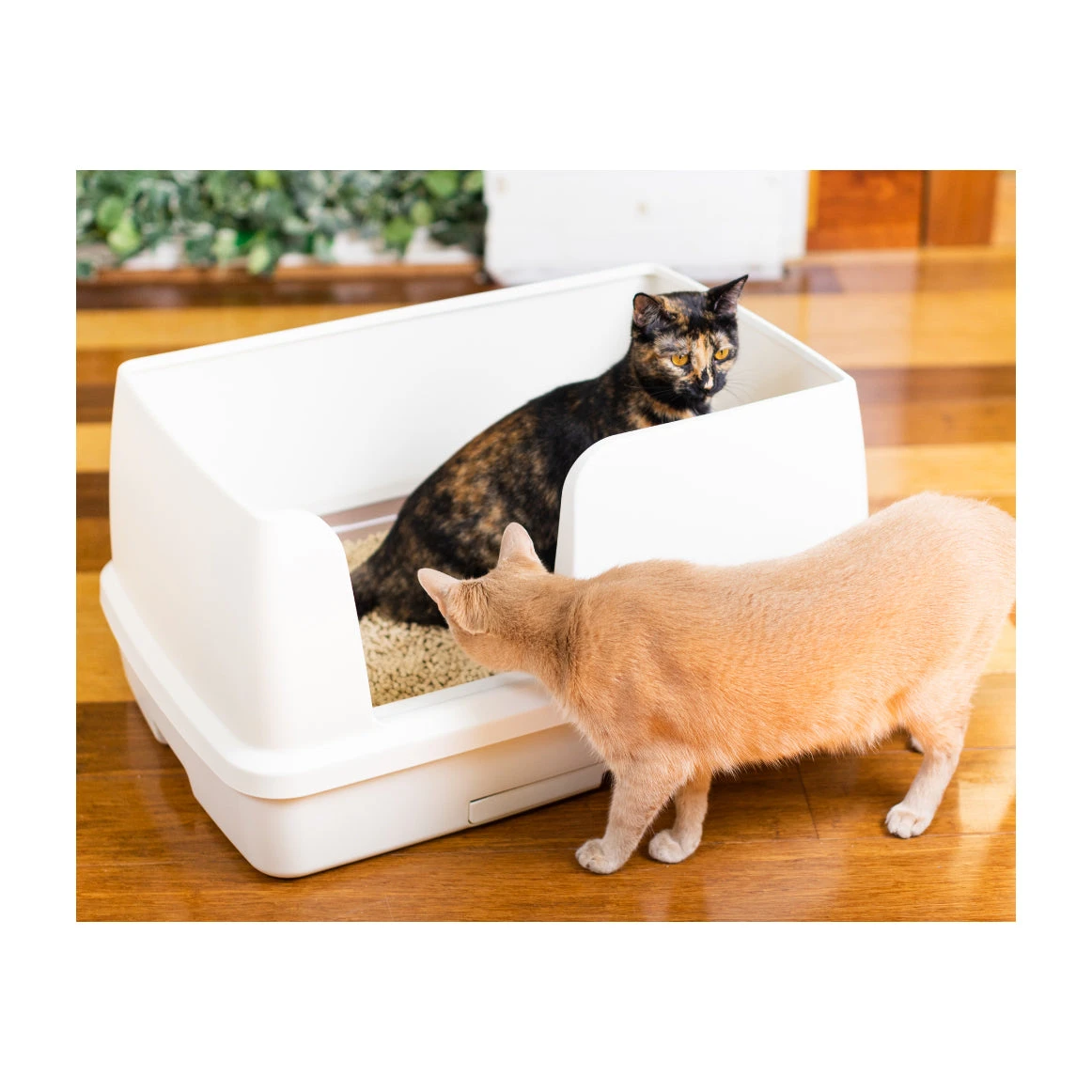 Ezi-LockOdour Dual Layer Cat Litter Tray System XL 1 Ezi-LockOdour Dual Layer Cat Litter Tray System XL