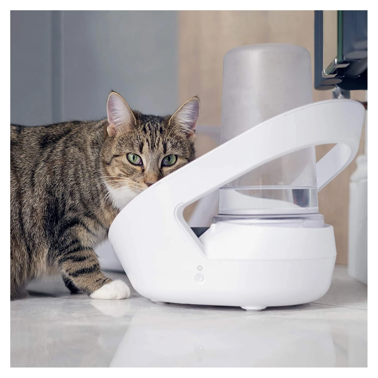 Sure Petcare Felaqua Connect 4 Sure Petcare Felaqua Connect - Image 4