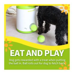 All For Paws Interactive Fetch-N-Treat Dog Toy -Vetn Pet Direct Store fetch n treat 5