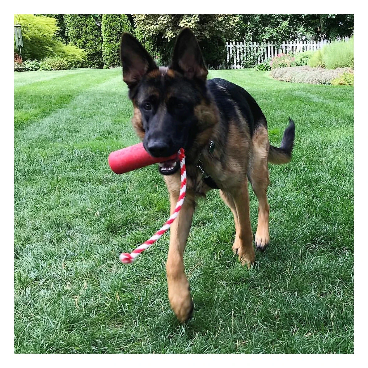 USA-K9 Firecracker Training Dummy - Large 4 USA-K9 Firecracker Training Dummy - Large - Image 4