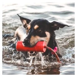 USA-K9 Firecracker Training Dummy - Large 10 USA-K9 Firecracker Training Dummy - Large -Vetn Pet Direct Store firecracker 04