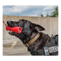USA-K9 Firecracker Training Dummy - Large 11 USA-K9 Firecracker Training Dummy - Large -Vetn Pet Direct Store firecracker 05