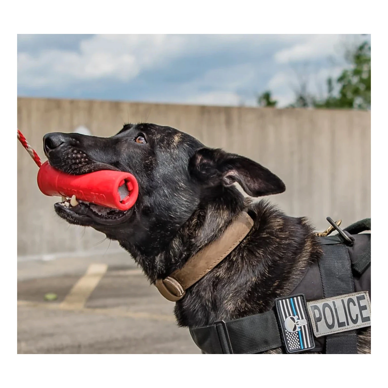 USA-K9 Firecracker Training Dummy - Large 6 USA-K9 Firecracker Training Dummy - Large - Image 6