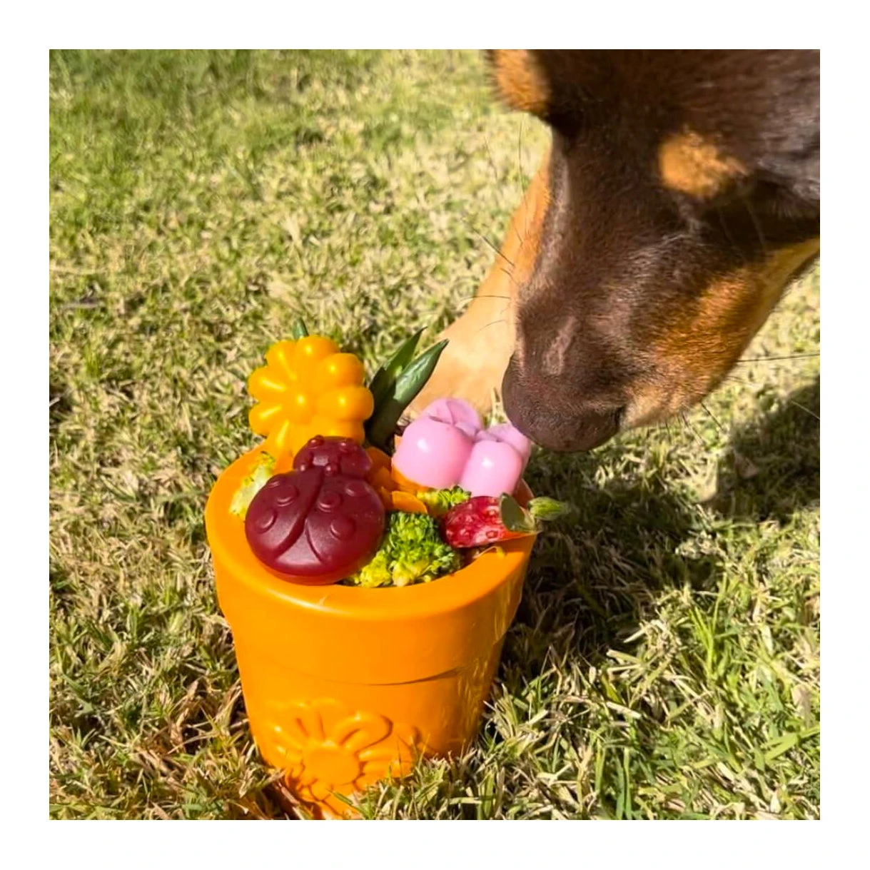 SodaPup Flower Pot Treat Dispenser 3 SodaPup Flower Pot Treat Dispenser - Image 3