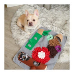 All For Paws Dig It! Fluffy Play & Treat Mat With Racoon Toy -Vetn Pet Direct Store fluffy mat with racoon 2
