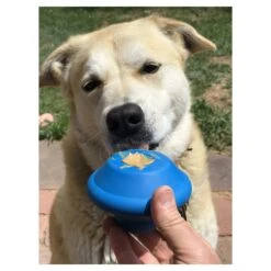 Spotnik Flying Saucer Chew Toy & Treat Dispenser -Vetn Pet Direct Store flying saucer 03