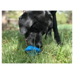 Spotnik Flying Saucer Chew Toy & Treat Dispenser -Vetn Pet Direct Store flying saucer 04