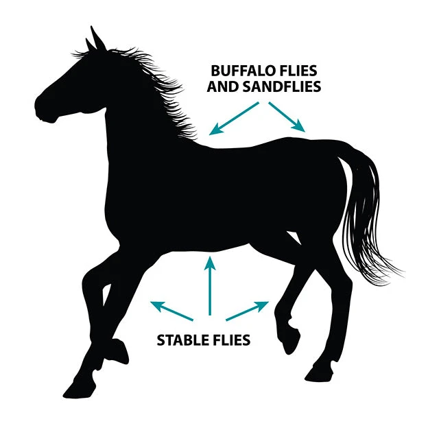 Pharmachem Flyscreen Pour-On Insecticide For Horses 120mL 2 Pharmachem Flyscreen Pour-On Insecticide For Horses 120mL - Image 2
