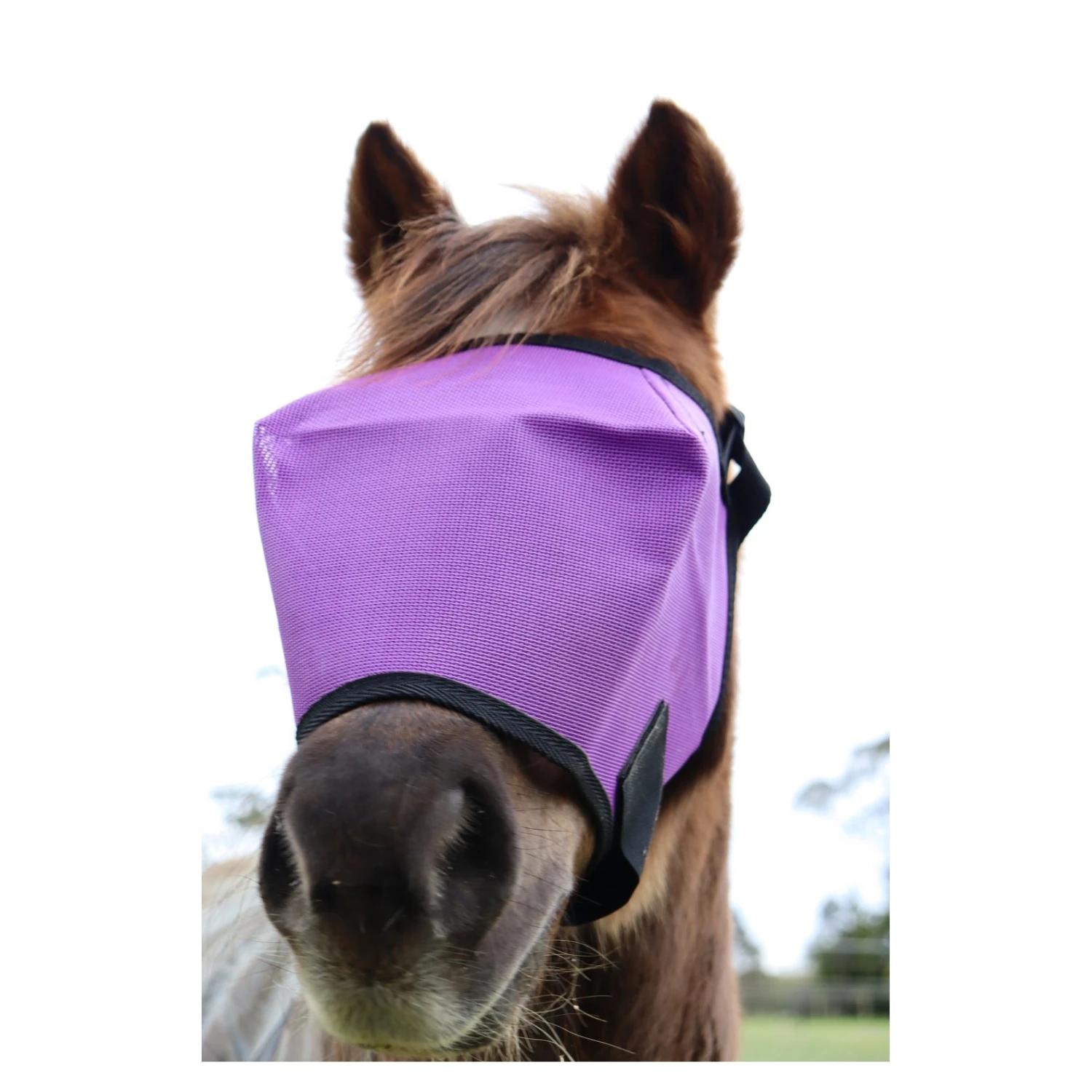 Flyveils By Design Budget Flyveil 1 Flyveils By Design Budget Flyveil