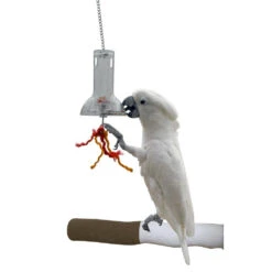 Featherland Paradise Foraging Capsule Bird Toy