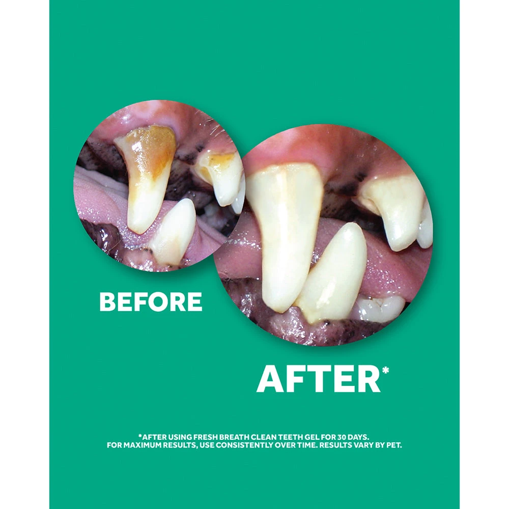 TropiClean Fresh Breath Clean Teeth Gel For Dogs 2 TropiClean Fresh Breath Clean Teeth Gel For Dogs - Image 2