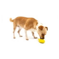 PetSafe Busy Buddy Frosty Cone Freezer Toy -Vetn Pet Direct Store frosty cone freezer toy 3