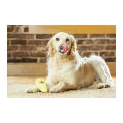 PetSafe Busy Buddy Frosty Cone Freezer Toy -Vetn Pet Direct Store frosty cone freezer toy 4