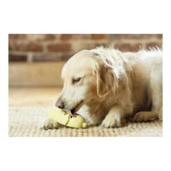 PetSafe Busy Buddy Frosty Cone Freezer Toy -Vetn Pet Direct Store frosty cone freezer toy 5