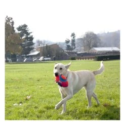 Chuckit! Fumble Fetch -Vetn Pet Direct Store fumble fetch dog