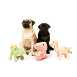 Fuzzyard Tyrion The Tyrannosaurus Rex 7 Fuzzyard Tyrion The Tyrannosaurus Rex -Vetn Pet Direct Store fuzzyard dinosaurs 0a9f8dcb ec5d 47d0 a894 af8874c12d15