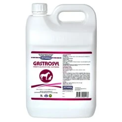 Vetsense Gastrosyl For Dogs & Horses 5 Vetsense Gastrosyl For Dogs & Horses -Vetn Pet Direct Store gastrosyl 5L