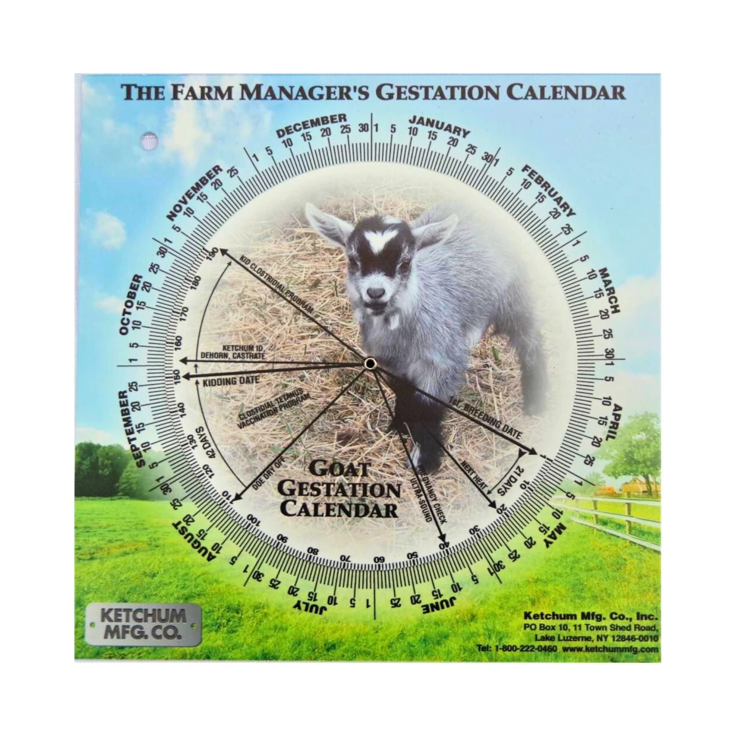 Farm Animal Gestation Calendar 2 Farm Animal Gestation Calendar - Image 2