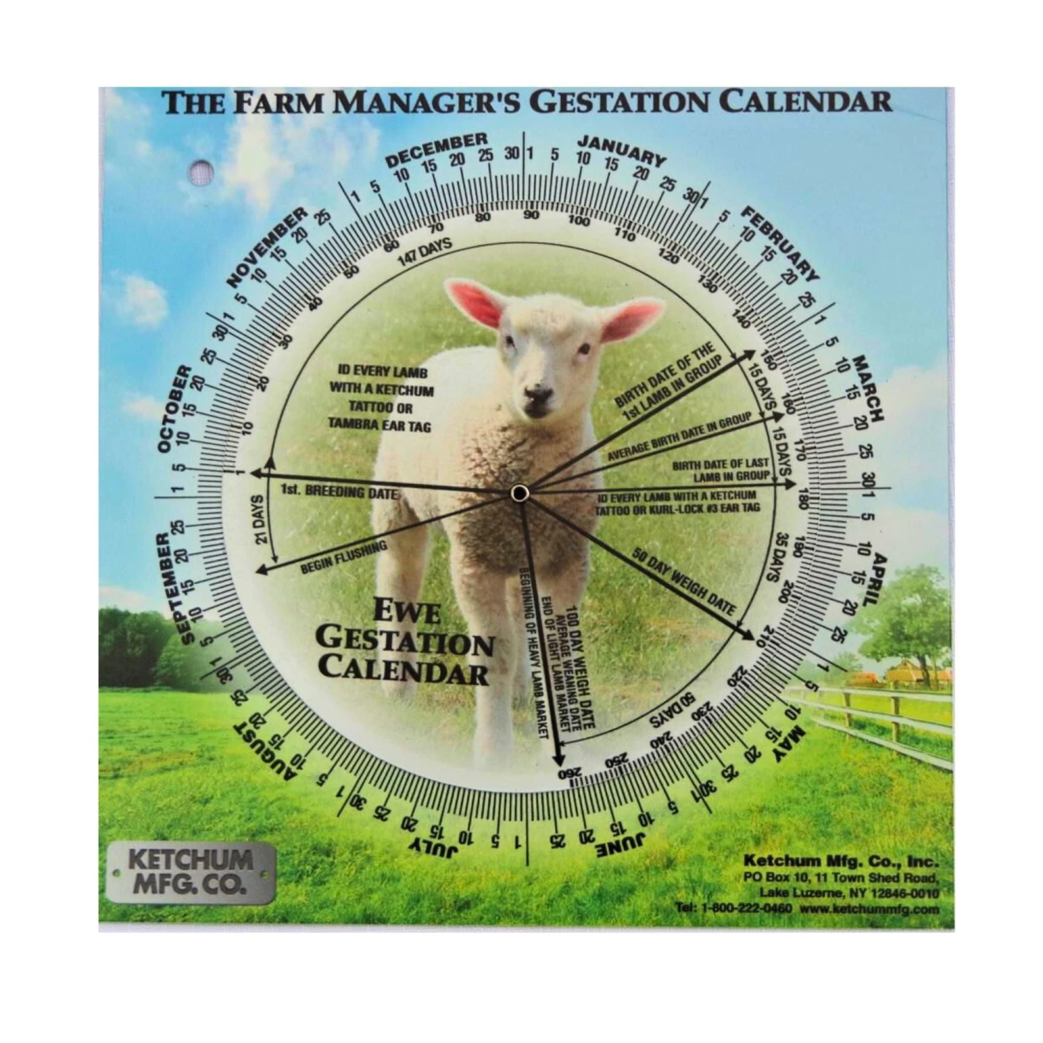 Farm Animal Gestation Calendar 4 Farm Animal Gestation Calendar - Image 4