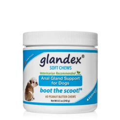 Glandex Soft Chews Anal Gland Support For Dogs -Vetn Pet Direct Store glandex 60