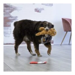 KONG Comfort Pups - Goldie -Vetn Pet Direct Store goldie kong 2