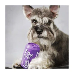 SodaPup Chew & Treat Dispensing Can Toy 15 SodaPup Chew & Treat Dispensing Can Toy -Vetn Pet Direct Store grape can 03