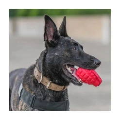USA-K9 Grenade Rubber Treat Dispensing & Chew Toy 16 USA-K9 Grenade Rubber Treat Dispensing & Chew Toy -Vetn Pet Direct Store grenade 06