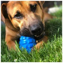 USA-K9 Grenade Rubber Treat Dispensing & Chew Toy 18 USA-K9 Grenade Rubber Treat Dispensing & Chew Toy -Vetn Pet Direct Store grenade 08