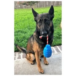 USA-K9 Grenade With Rope Chew, Tug & Treat Dispensing Toy -Vetn Pet Direct Store grenade with rope 06