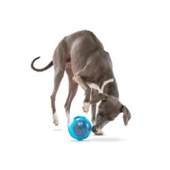 Guru Ball - Medium 7 Guru Ball - Medium -Vetn Pet Direct Store guru ball dog